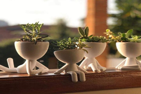 Creative DIY Garden Ideas: Ceramic Planters